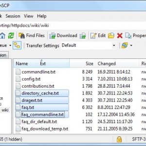 ftp winscp 300x300 - Download WinSCP For Windows V 5.13.3