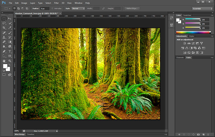 Adobe Photoshop CS6 for Mac Free Download - SoftFiler